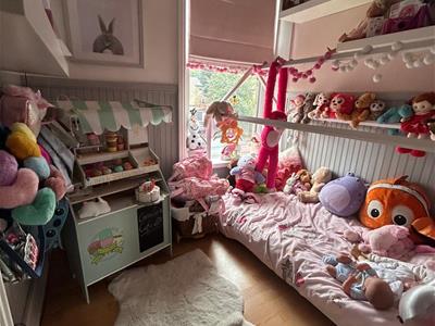 Picture 21